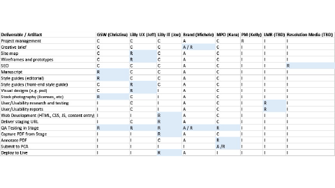 Image of RACI matrix