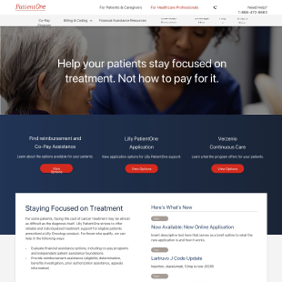 Picture of PatientOne Homepage