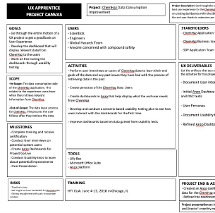 Picture of UX Apprenticeship Canvas guidance document